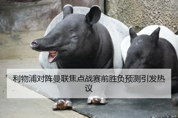 利物浦对阵曼联焦点战赛前胜负预测引发热议
