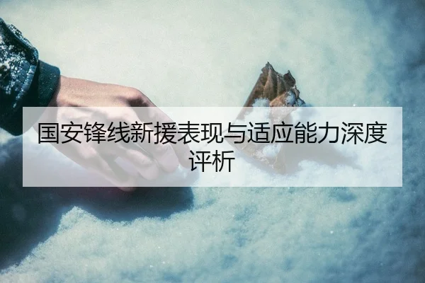 国安锋线新援表现与适应能力深度评析